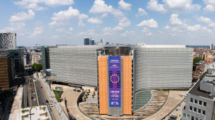 Ue, 'non saremo un membro del Board of Peace di Trump'