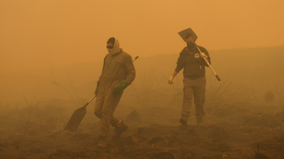 Durch Waldbr&auml;nde schon mehr als eine Million Hektar in der EU verbrannt