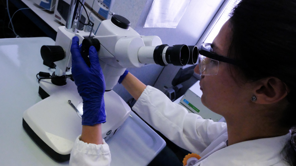 Scoperti con l'IA nuovi antibiotici dai microbi pi&ugrave; antichi