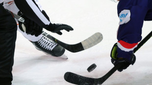 DEL: Ingolstadt klettert auf Rang zwei - M&uuml;nchen souver&auml;n