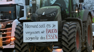Allemagne: les agriculteurs en col&egrave;re perturbent le trafic routier