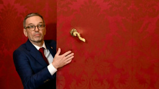 A Vienne, extr&ecirc;me droite et conservateurs &agrave; couteaux tir&eacute;s