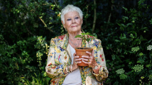 Judi Dench verso il ritiro, 'non riesco pi&ugrave; a vedere'