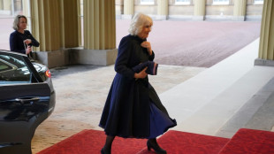 Erkrankung von britischer K&ouml;nigin Camilla war Lungenentz&uuml;ndung