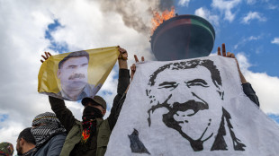 Pkk annuncia scioglimento e fine lotta armata in Turchia