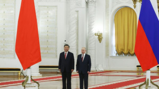 Xi, Putin begin talks at Kremlin with Ukraine on agenda