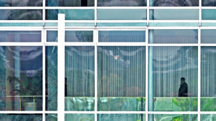 Bolsonaro, une troublante absence au sommet de l'Etat au Br&eacute;sil