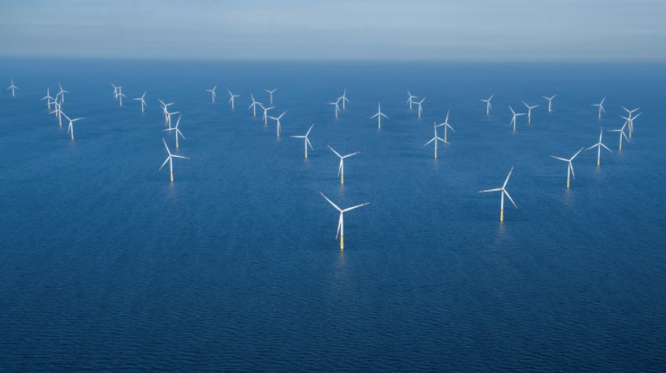Eolien: l'UE doit d&eacute;cupler le rythme de d&eacute;ploiement en mer pour tenir l'objectif 2030