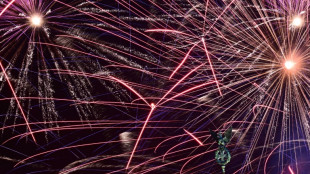 Verband f&uuml;r Pyrotechnik beklagt florierenden Handel mit illegalem Feuerwerk