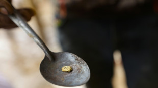 EEUU flexibiliza inversiones para la explotaci&oacute;n de minerales en Venezuela