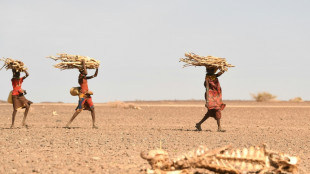 Au Kenya, la famine menace mais les yeux sont riv&eacute;s sur la pr&eacute;sidentielle