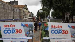 Cop30: al via concorso per creare logo del Padiglione Italia