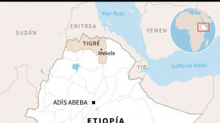 Expertos de la ONU afirman que probablemente hubo cr&iacute;menes contra la humanidad en Etiop&iacute;a