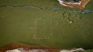 Cry for help as French-Swiss lake dries up