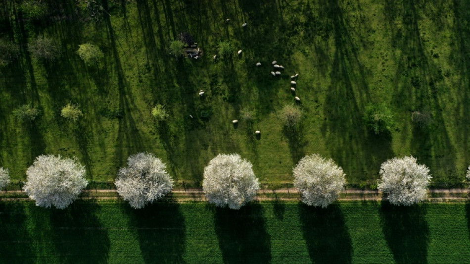 Kauf von Agrarland: B&uuml;rgerbewegung Finanzwende f&uuml;r strengere Regeln f&uuml;r Investoren