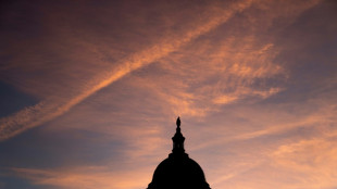 L'Am&eacute;rique suspendue &agrave; l'&eacute;quilibre final du Congr&egrave;s, Biden vante les succ&egrave;s d&eacute;mocrates