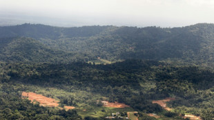 La non-prolongation du projet "Montagne d'or" en Guyane confirm&eacute;e par la justice administrative