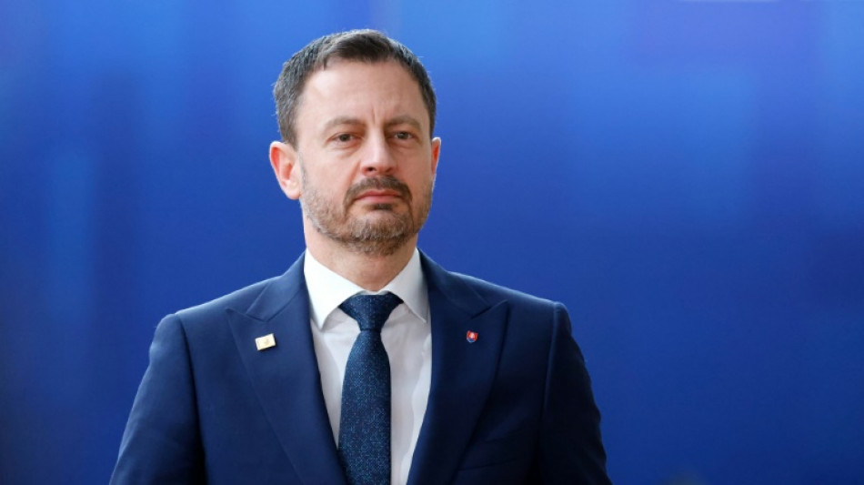 Slowakische &Uuml;bergangsregierung tritt zur&uuml;ck