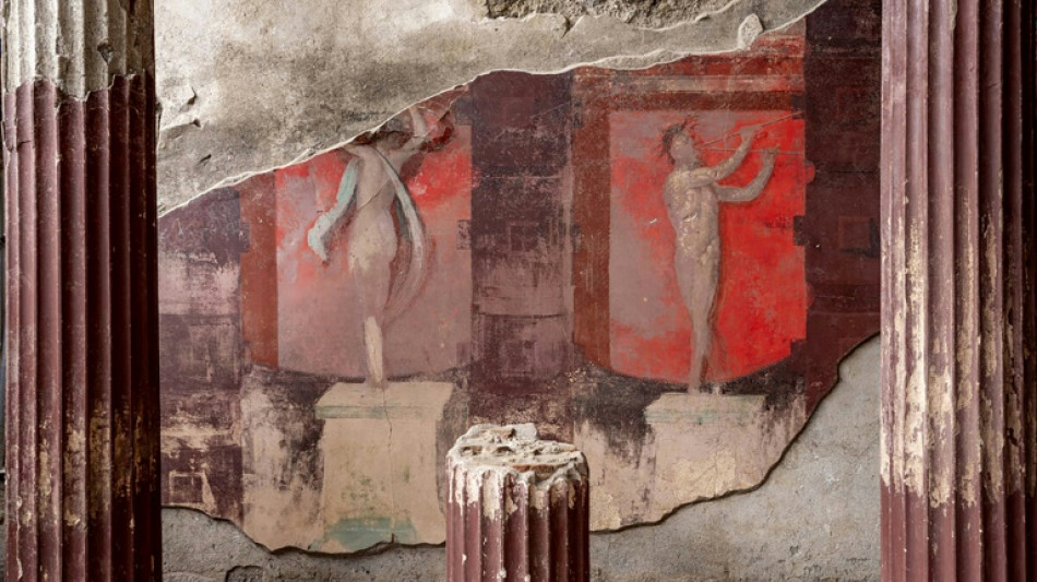 De rares fresques monumentales d&eacute;couvertes &agrave; Pomp&eacute;i