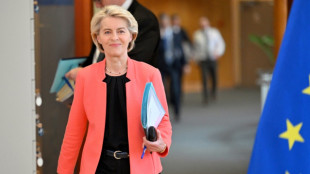  La Bulgarie pr&ecirc;te &agrave; devenir le 21e Etat &agrave; adopter l'euro