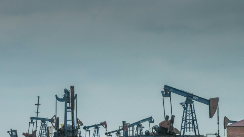 EU-Ratspr&auml;sident rechnet mittelfristig mit Importstopp f&uuml;r russisches &Ouml;l und Gas