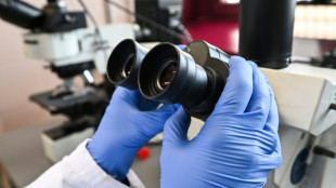 Robots-lucioles, fourmis renifleuses de cancer: quand la nature nous vient en aide de mani&egrave;re inattendue