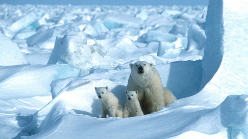 Le gouvernement Biden prot&egrave;ge une vaste zone de l'Alaska pour limiter l'exploitation p&eacute;troli&egrave;re