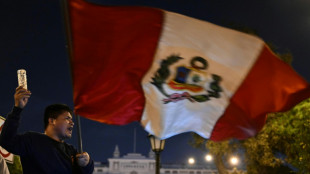 P&eacute;rou: la nouvelle pr&eacute;sidente a annonc&eacute; son gouvernement, le m&eacute;contentement enfle