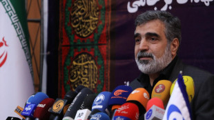 Iran, 'danni a industria nucleare ma sviluppo proseguir&agrave;'