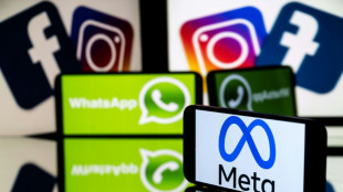 Meta demande &agrave; un juge am&eacute;ricain de mettre fin &agrave; des poursuites pour pratique anticoncurrentielles