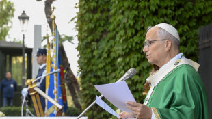 Il Papa, "crisi economiche e licenziamenti dolorosi"