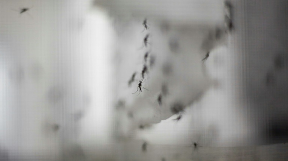 El virus del Oropouche presente en Brasil podr&iacute;a ser una nueva variante