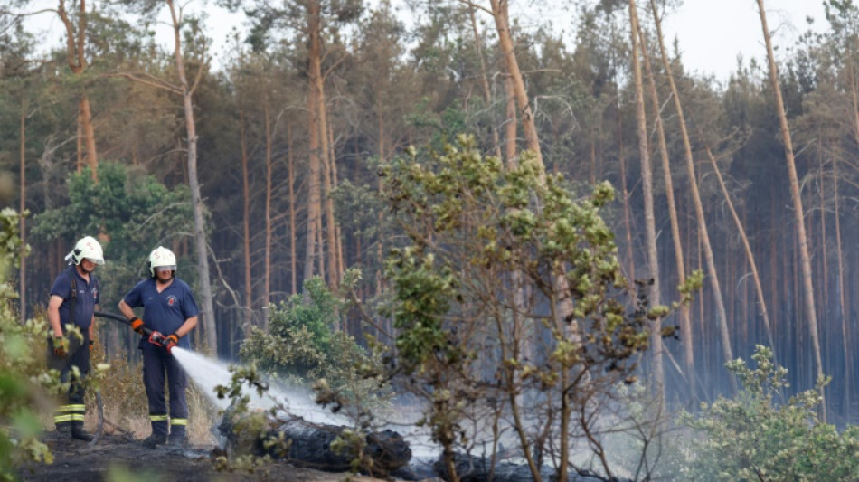 Bericht: 533 Waldbr&auml;nde in Berlin und Brandenburg verursachten Millionenschaden