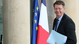 La r&eacute;novation urbaine doit redevenir une "priorit&eacute; politique", plaide Patrice Vergriete