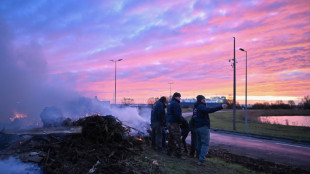 Accord UE-Mercosur: les agriculteurs maintiennent la pression