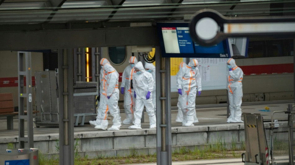 Allemagne : attaque au couteau &agrave; la gare de Hambourg, une suspecte arr&ecirc;t&eacute;e