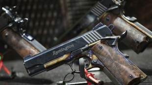 Zahl der Waffenverst&ouml;&szlig;e in Deutschland das vierte Jahr in Folge gesunken 