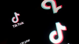 &Ouml;sterreich verbietet Tiktok auf Diensthandys von Staatsangestellten 