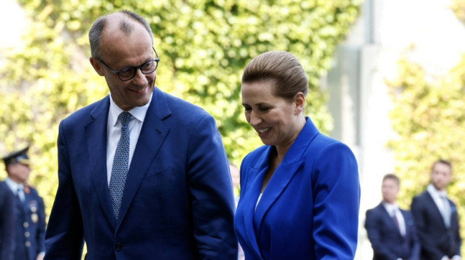 Merz lobt D&auml;nemarks "vorbildliche" Migrationspolitik