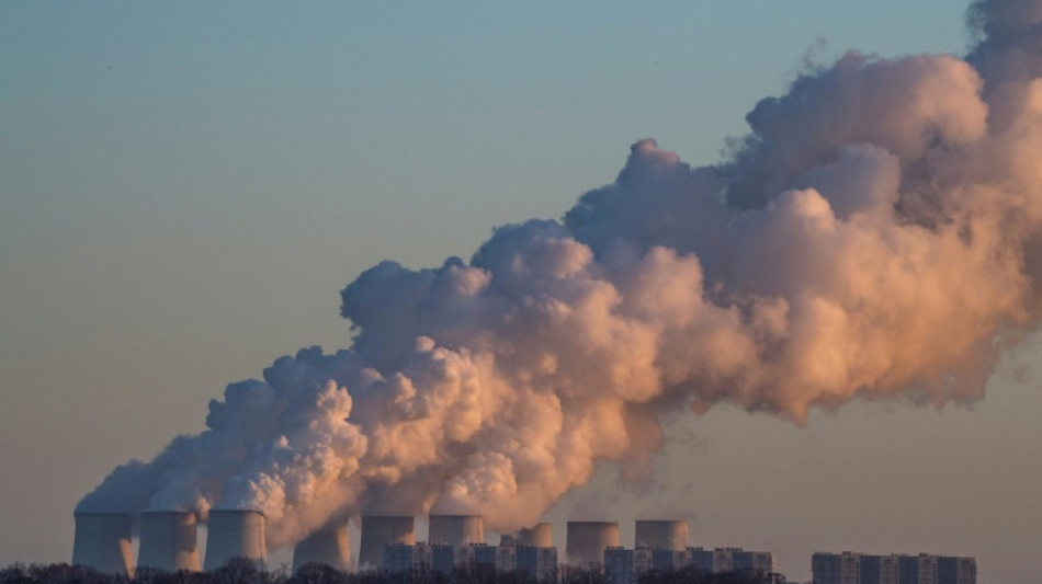 Erste Klimaaktivisten nach Blockade von Kraftwerk J&auml;nschwalde in Polizeigewahrsam