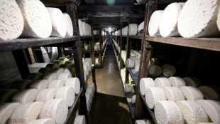 Le roquefort c&eacute;l&egrave;bre 100 ans d'appellation, esp&eacute;rant relancer des ventes en berne