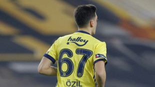 &Ouml;zil und Fenerbahce l&ouml;sen Vertragsverh&auml;ltnis - Wechsel zu Basaksehir