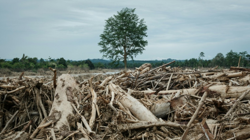 Deadly Indonesia floods force a deforestation reckoning
