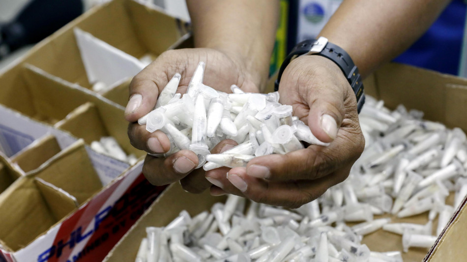 Germania, sequestrate 1.500 tarantole nascoste tra i dolci