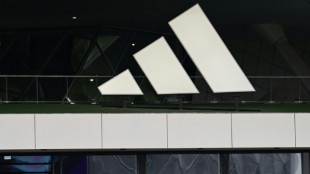 Wegen Sportschuhen aus Schweinsleder: T&uuml;rkei verh&auml;ngt Geldstrafe gegen Adidas 