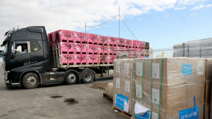 L'arm&eacute;e isra&eacute;lienne, accus&eacute;e d'obstruction, montre des cargaisons d'aide destin&eacute;e &agrave; Gaza