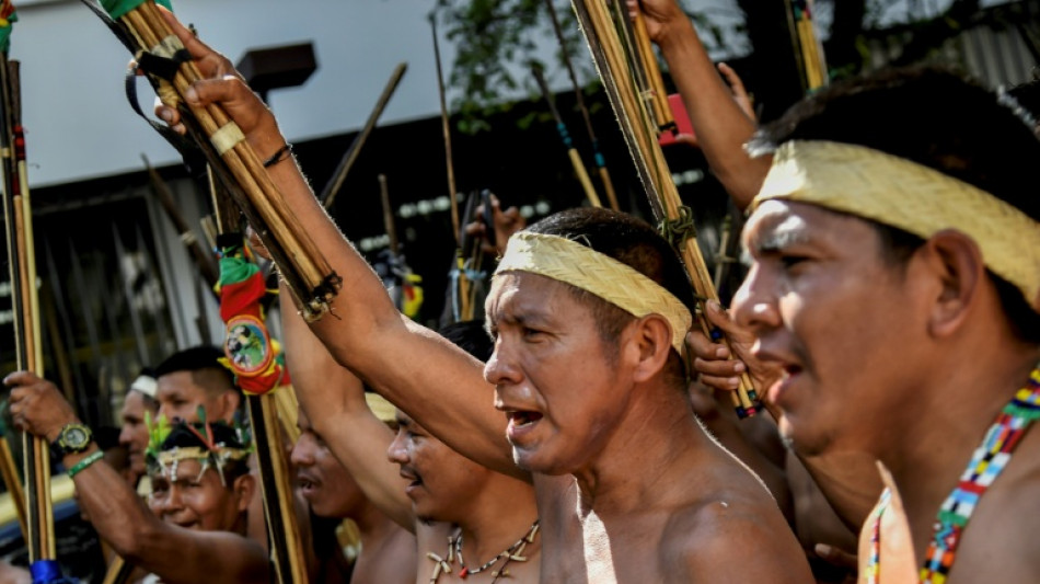 Indigenous protest urges end to Colombia border violence