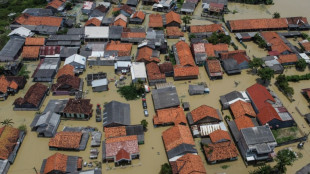 L'Indon&eacute;sie ensemence les nuages pour tenter d'endiguer les inondations &agrave; Jakarta