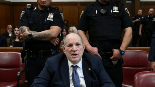 Erste Pl&auml;doyers in neu aufgerolltem Weinstein-Prozess in New York