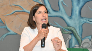 Schlein, irresponsabile &egrave; chi non cerca di fermare Netanyahu